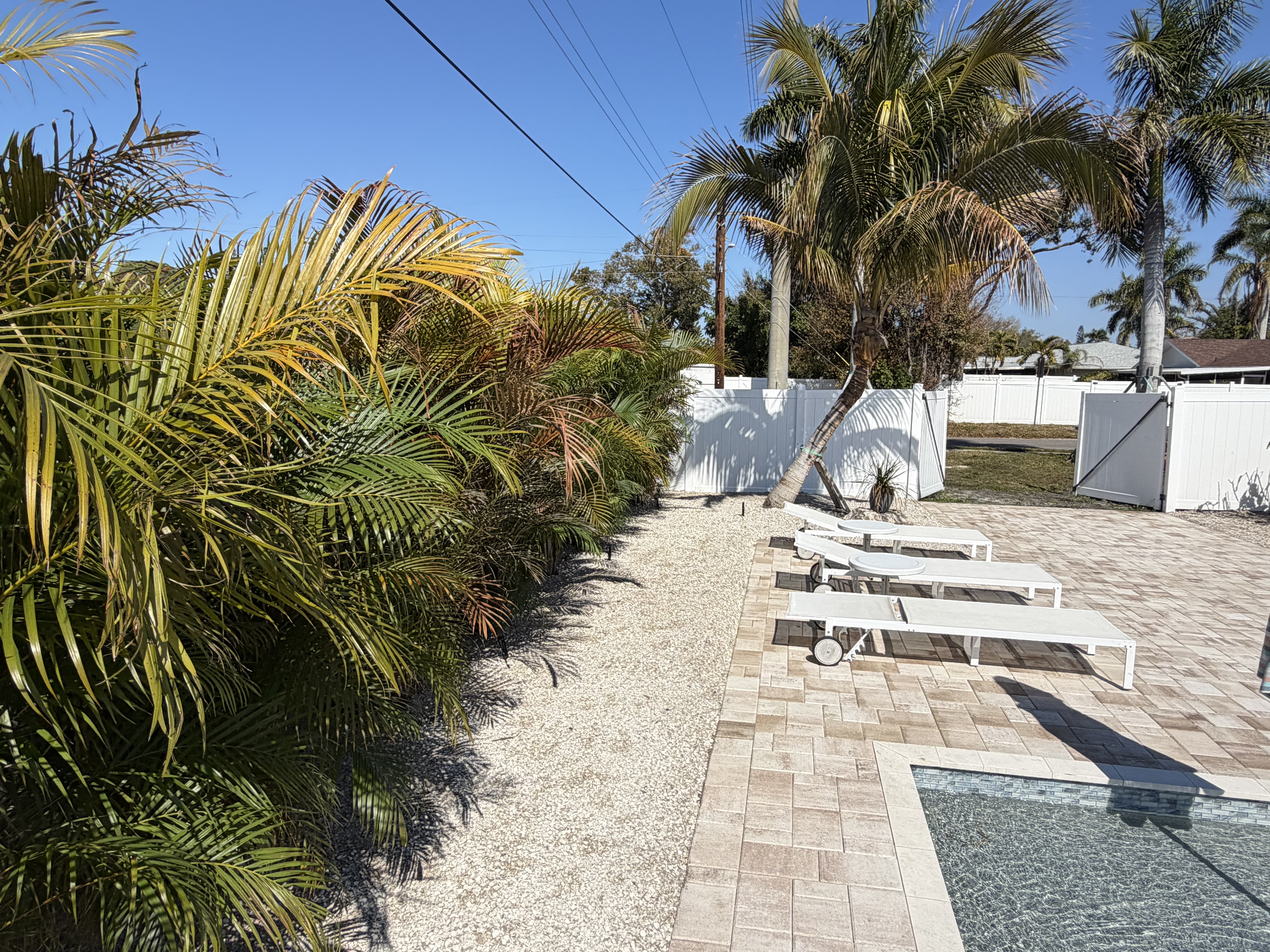 Professional landscapers building a modern outdoor landscape